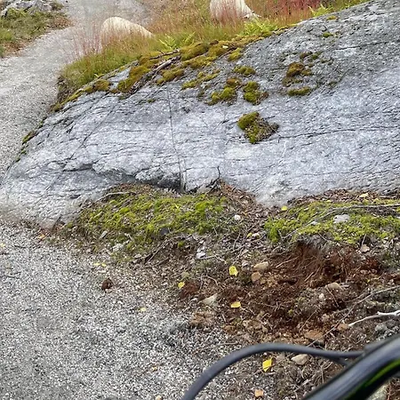 Amazing In With Sauna * 内斯比恩